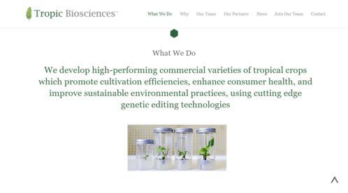 熱帶基因點亮未來 Tropic Biosciences完成2850萬美元B輪融資，引領農業科技變革